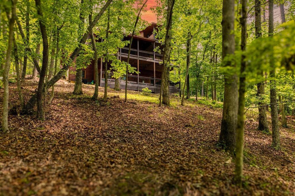 Luxe Family Cabin 8 Min To Downtown 블루리지 외부 사진